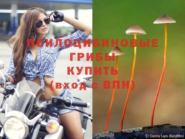 каннабис Армянск