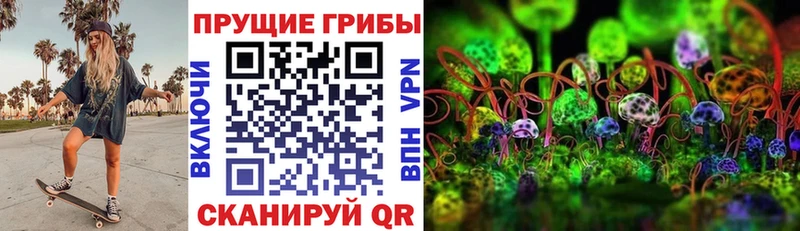 купить   Иннополис  Псилоцибиновые грибы Magic Shrooms 