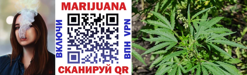 Бошки Шишки ГИДРОПОН  Иннополис 